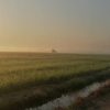 ที่ดินแบ่งขาย ซอยวัดสุขใจ 15 เขตคลองสามวา กรุงเทพ 100-200 ตรว. ถมแล้ว ไฟฟ้า น้ำ มาแล้ว สร้างบ้านได้เลย โทร 085-9300661