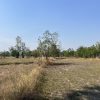 ขายที่ดิน ห่างเมืองเก่าสุโขทัย 10 กิโลเมตร เป็นที่นา มีบ่อน้ำ อำเภอคีรีมาศ โทร 0917796341