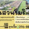 ที่ดินแบ่งขาย ที่ อ.สองพี่น้อง จ.สุพรรณบุรี สวยงาม พร้อมสร้างบ้าน เจ้าของขายเอง โทร 096-8817733
