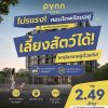 PYNN Kaset by Sansiri พินน์ เกษตร – คอนโด Pet-Friendly ใกล้ ม.เกษตร โทร 0654496399